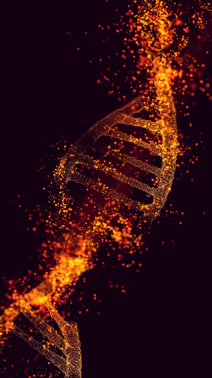 Audio Ayuda Dolores Físicos